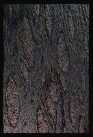 /img/render/thumbnails/12020_11_02-wood_1