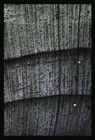 /img/render/thumbnails/12020_11_02-wood_3