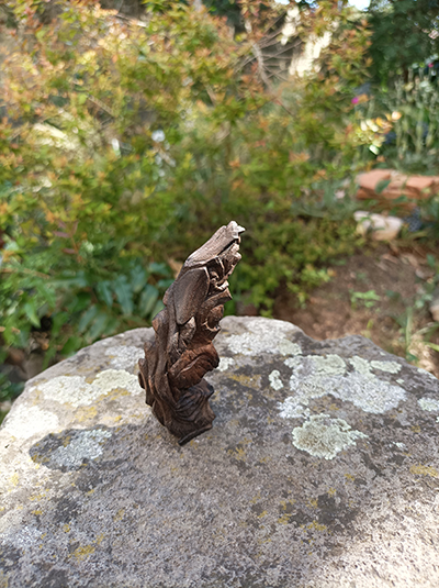 sculpture